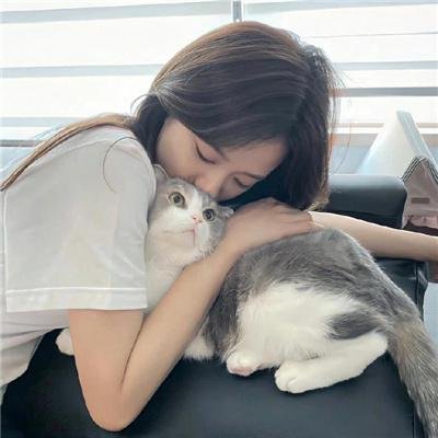 疯猴