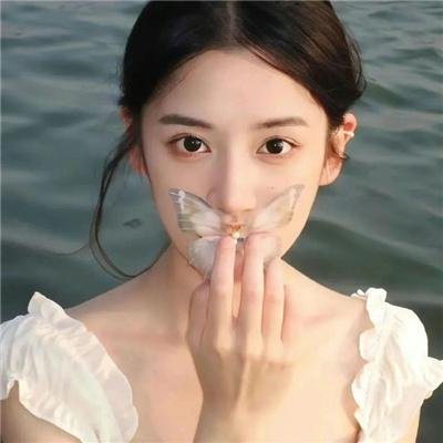 寒鸦情深